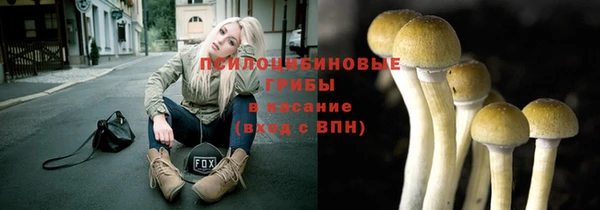 spice Осинники