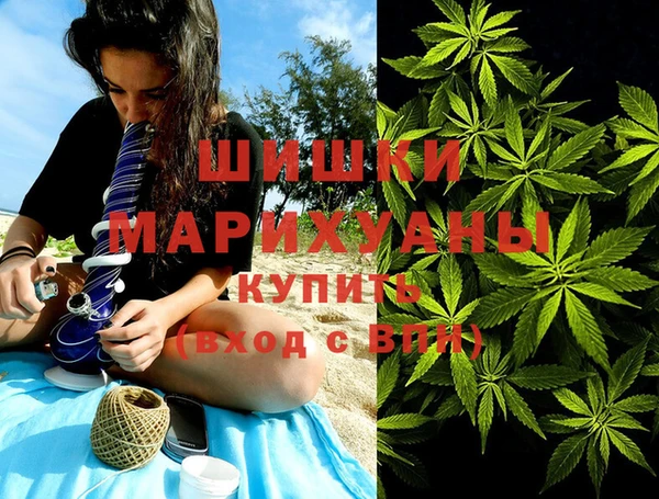 PSILOCYBIN Нея